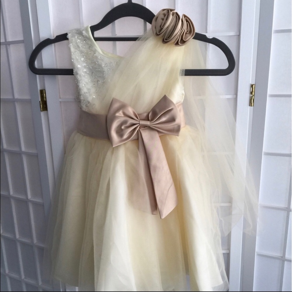 Fancy Ivory Dress Size 4 Toddler Brand New
